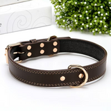 leather dog collar