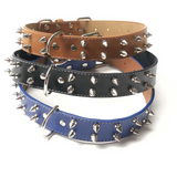 rivet dog collar